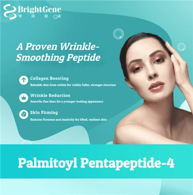 Das „Falten-Eisen“-Peptid: Palmitoyl Pentapeptide-4